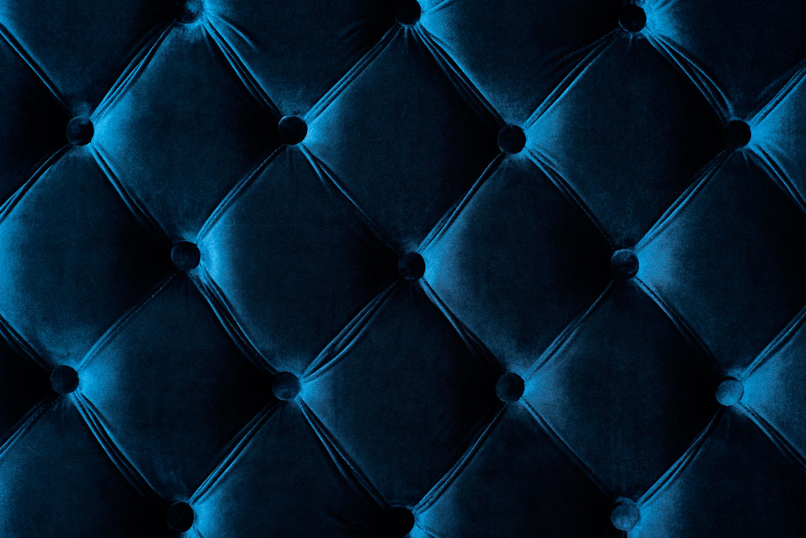 capitone | CLUB PALOMINO [VITACURA]